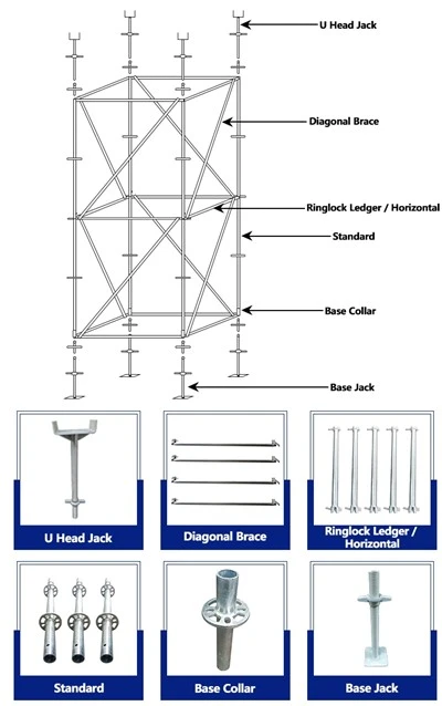 Components de bastida Ringlock